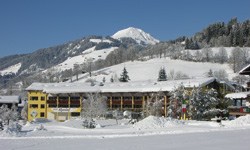 Skihytte i Brixen im Thale, Østrig